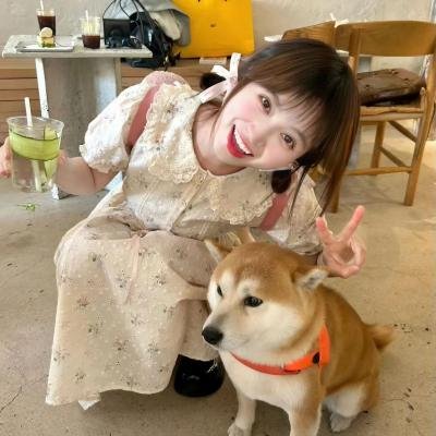 蛊惑狗寻宝